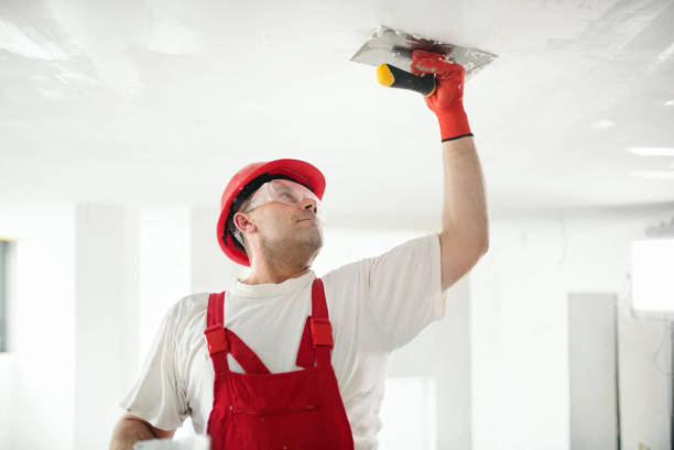 Best Drywall Removal and Disposal  in Hartville, OH