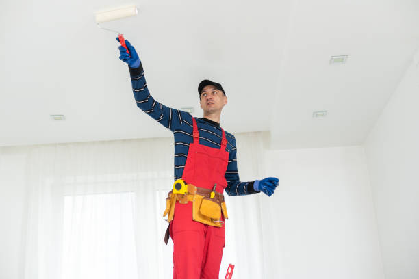 Best Drywall Sanding and Smoothing  in Hartville, OH